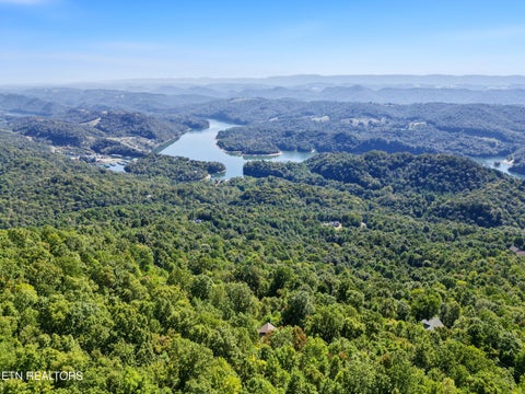 Tiny photo for 203 Nightshade Lane, New Tazewell, TN 37825 (MLS # 1357578)