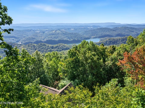 Tiny photo for 203 Nightshade Lane, New Tazewell, TN 37825 (MLS # 1357578)
