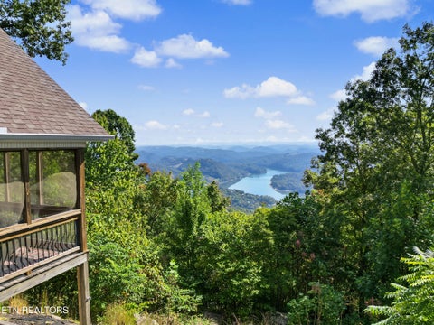 Tiny photo for 203 Nightshade Lane, New Tazewell, TN 37825 (MLS # 1357578)