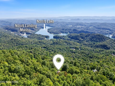 Tiny photo for 203 Nightshade Lane, New Tazewell, TN 37825 (MLS # 1357578)