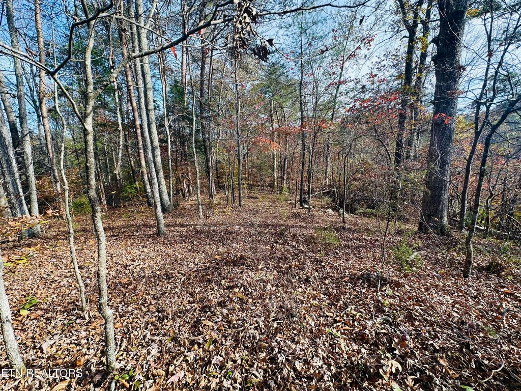 Photo of 888 Joppa Mountain Rd, Rutledge, TN 37861 (MLS # 1290413)