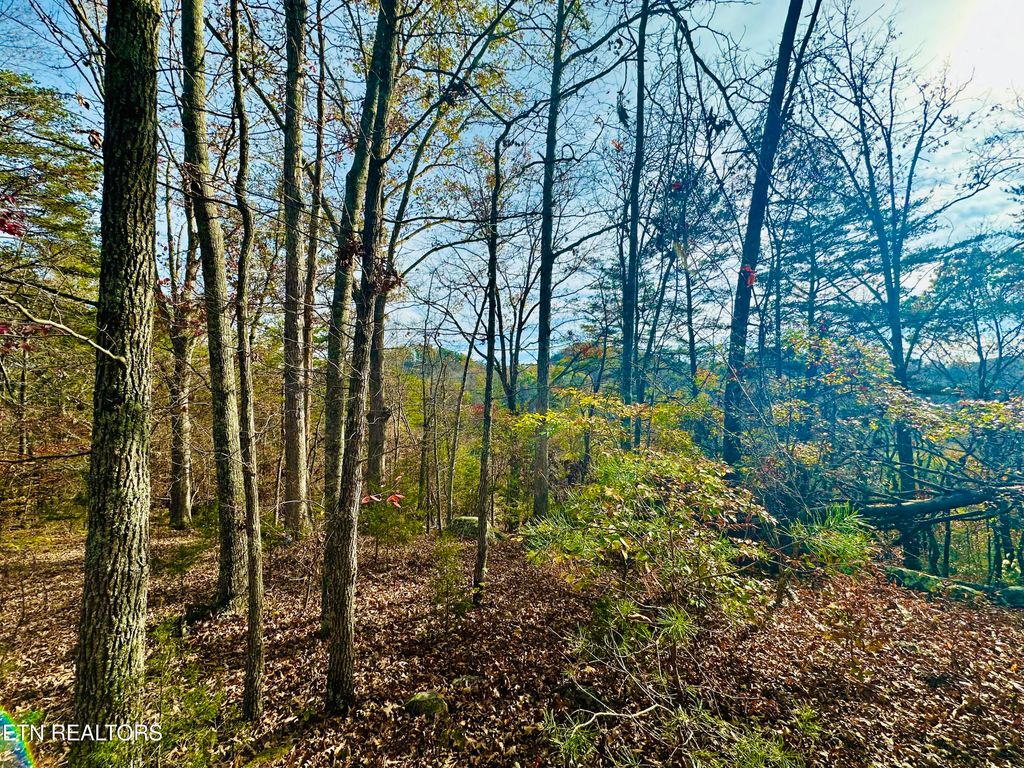 Photo of 888 Joppa Mountain Rd, Rutledge, TN 37861 (MLS # 1290413)