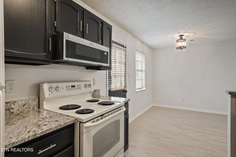 Tiny photo for 9005 Fountain Brook Lane, Knoxville, TN 37923 (MLS # 1348198)