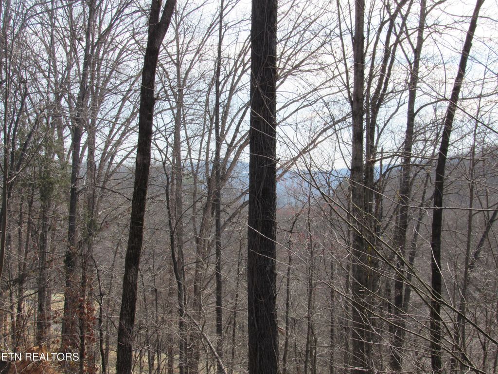 Photo of 105 Rockbridge Greens Blvd, Oak Ridge, TN 37830 (MLS # 1313223)