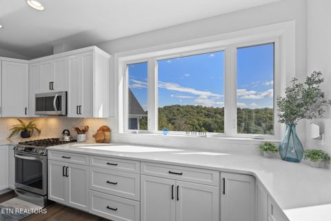 Tiny photo for 115 Pinnacle Lane, LaFollette, TN 37766 (MLS # 1317209)