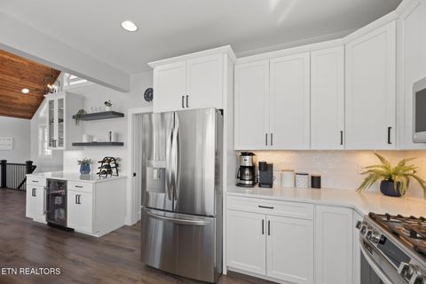 Tiny photo for 115 Pinnacle Lane, LaFollette, TN 37766 (MLS # 1317209)