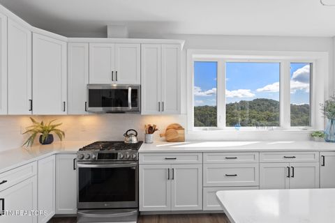 Tiny photo for 115 Pinnacle Lane, LaFollette, TN 37766 (MLS # 1317209)