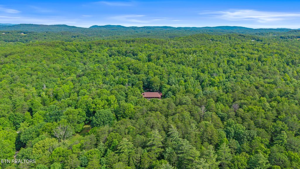Photo of 255 Unicoi Lakes Rd, Tellico Plains, TN 37385 (MLS # 1303648)