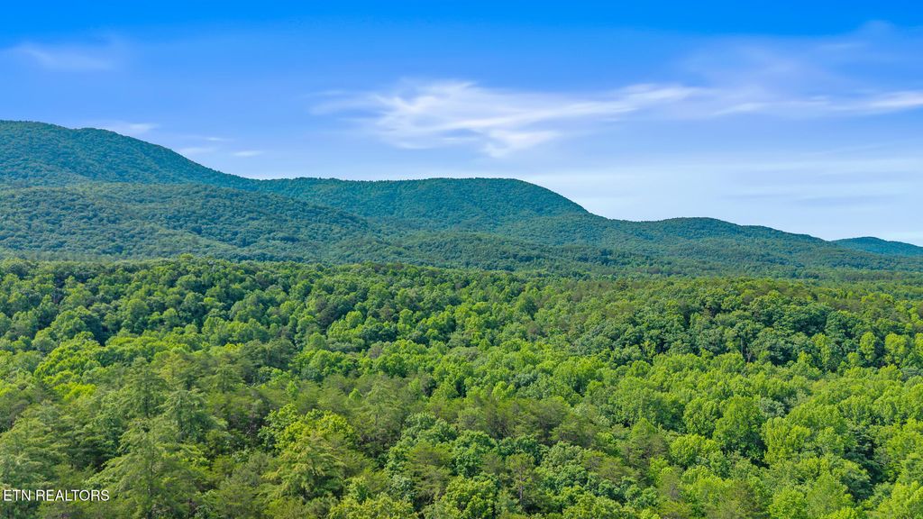 Photo of 255 Unicoi Lakes Rd, Tellico Plains, TN 37385 (MLS # 1303648)