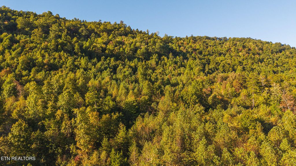 Photo of 0 Black Valley Rd, Sneedville, TN 37869 (MLS # 1322140)