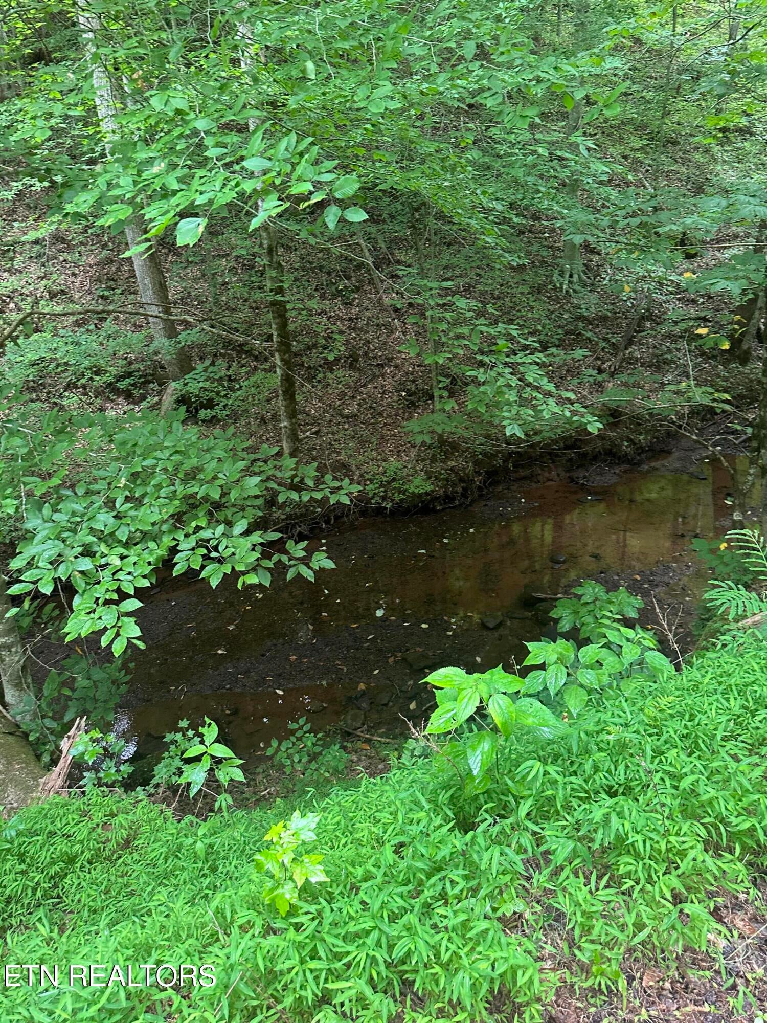 County Road 484