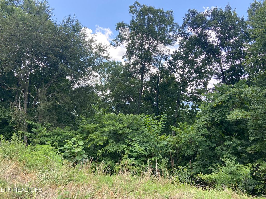 Photo of Whistle Valley Rd, New Tazewell, TN 37825 (MLS # 1342864)