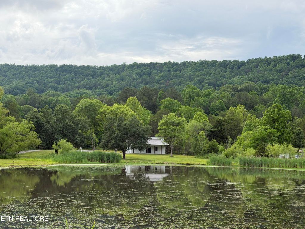Photo of 1483 Reagan Valley Rd, Tellico Plains, TN 37385 (MLS # 1335584)