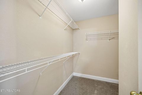 Tiny photo for 3135 Blueberry Drive, New Market, TN 37820 (MLS # 1347620)