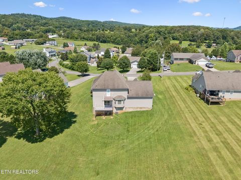 Tiny photo for 3135 Blueberry Drive, New Market, TN 37820 (MLS # 1347620)