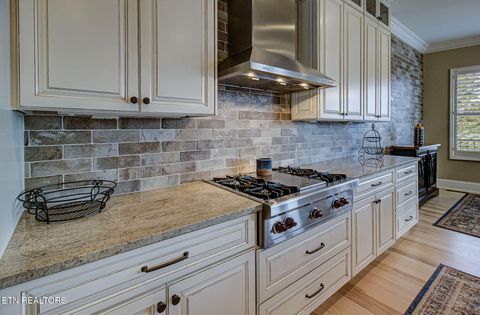 Tiny photo for 136 Hiwonihi Tr, Vonore, TN 37885 (MLS # 1315789)