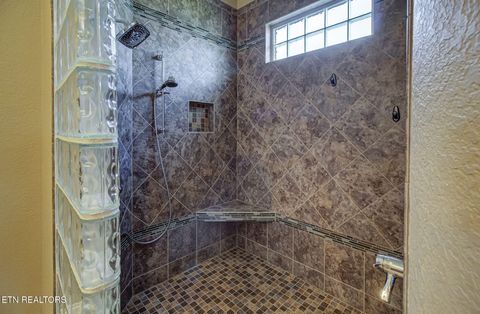 Tiny photo for 136 Hiwonihi Tr, Vonore, TN 37885 (MLS # 1315789)