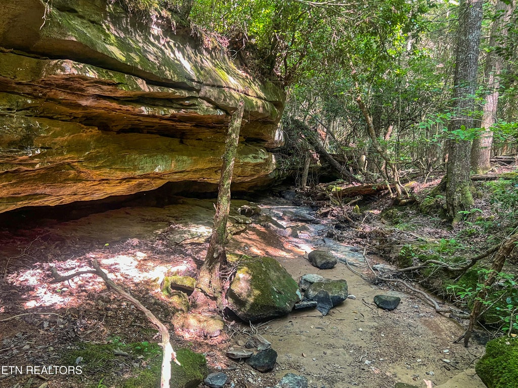 Photo of Willie Boyatt Rd, Oneida, TN 37841 (MLS # 1329247)