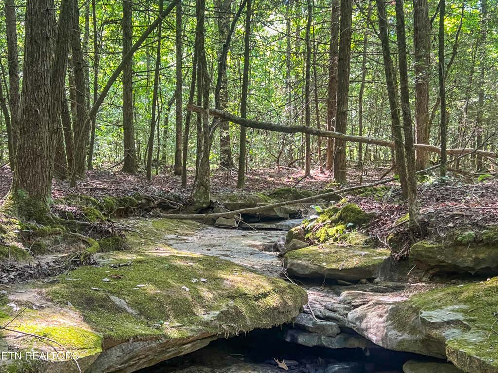 Photo of Willie Boyatt Rd, Oneida, TN 37841 (MLS # 1329247)