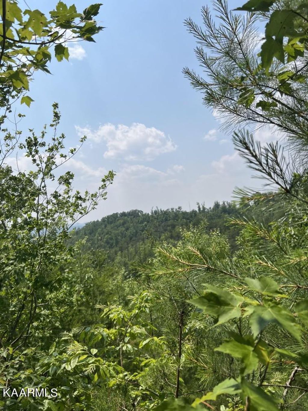 Photo of 230 Lake Heights Rd Rd, Tellico Plains, TN 37385 (MLS # 1229791)