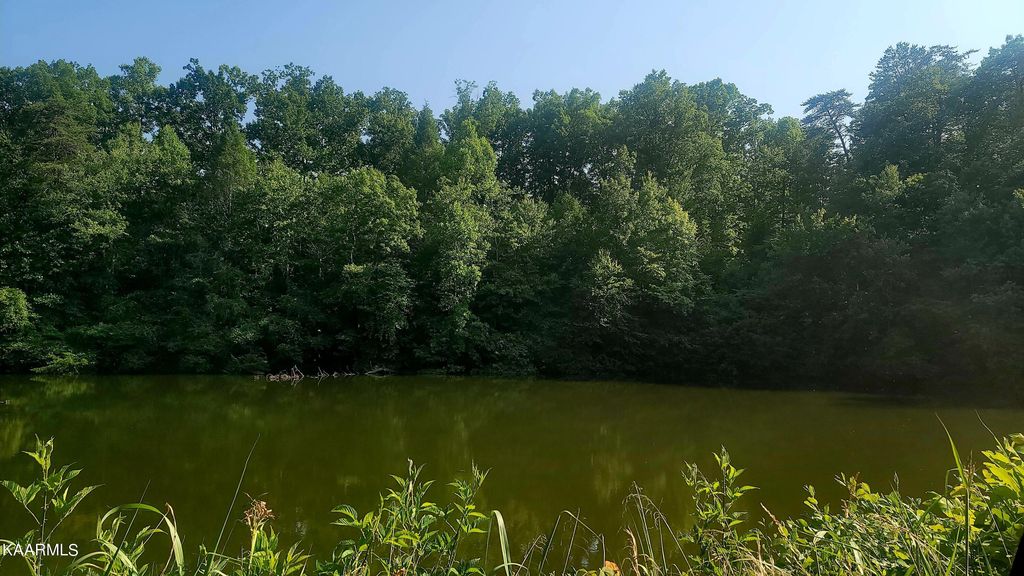 Photo of 230 Lake Heights Rd Rd, Tellico Plains, TN 37385 (MLS # 1229791)