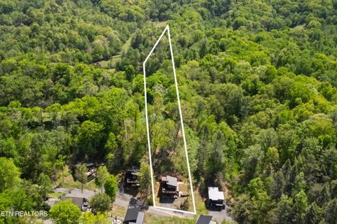 Tiny photo for 1613 Mitchell Farm Rd, Sevierville, TN 37876 (MLS # 1337167)