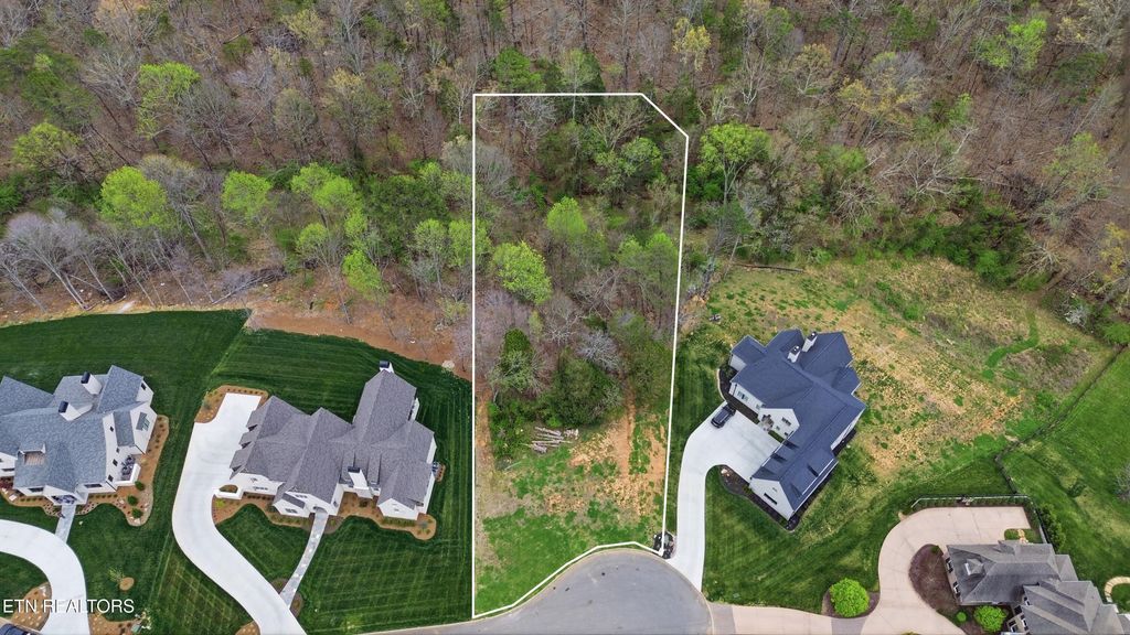 Photo of 2226 Falcon Crest Lane, Knoxville, TN 37919 (MLS # 1334130)