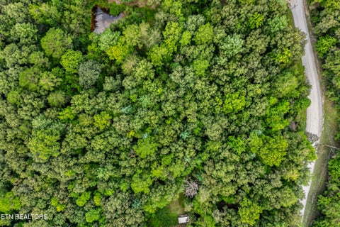 Tiny photo for 51 Muddy branch Rd, Crossville, TN 38571 (MLS # 1355585)