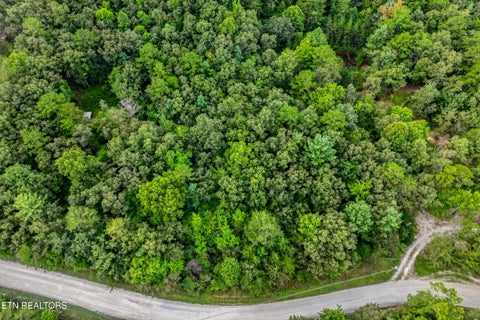 Tiny photo for 51 Muddy branch Rd, Crossville, TN 38571 (MLS # 1355585)