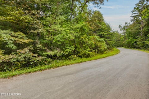 Tiny photo for 51 Muddy branch Rd, Crossville, TN 38571 (MLS # 1355585)