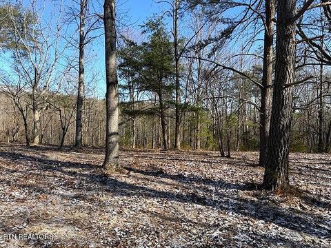 Tiny photo for Under The Sun Rd, Cosby, TN 37722 (MLS # 1328067)