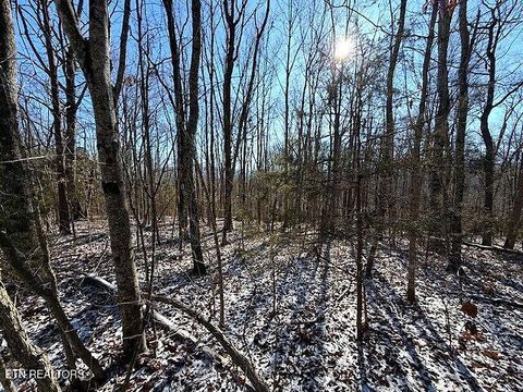 Tiny photo for Under The Sun Rd, Cosby, TN 37722 (MLS # 1328067)