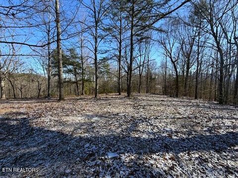 Tiny photo for Under The Sun Rd, Cosby, TN 37722 (MLS # 1328067)