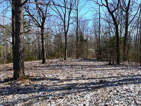 Tiny photo for Under The Sun Rd, Cosby, TN 37722 (MLS # 1328067)
