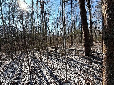 Tiny photo for Under The Sun Rd, Cosby, TN 37722 (MLS # 1328067)