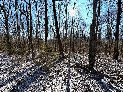 Tiny photo for Under The Sun Rd, Cosby, TN 37722 (MLS # 1328067)