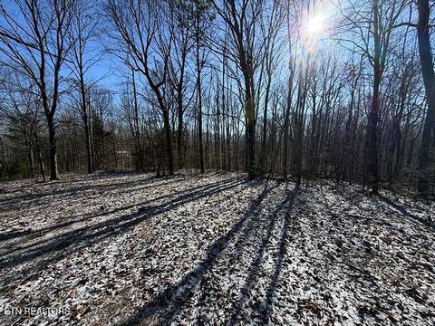 Tiny photo for Under The Sun Rd, Cosby, TN 37722 (MLS # 1328067)