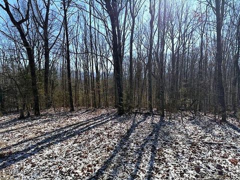 Tiny photo for Under The Sun Rd, Cosby, TN 37722 (MLS # 1328067)