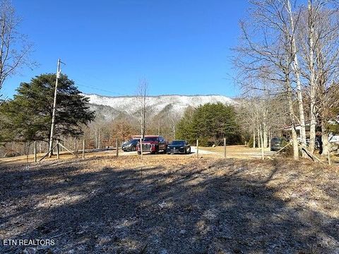 Tiny photo for Under The Sun Rd, Cosby, TN 37722 (MLS # 1328067)