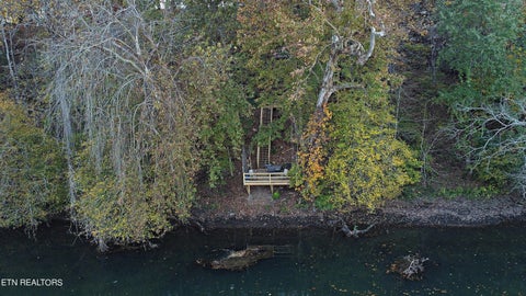 Tiny photo for 651 Cliff Top Rd, Blaine, TN 37709 (MLS # 1346227)