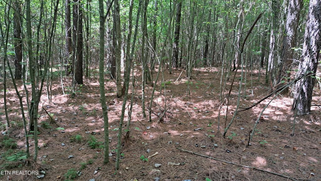 Photo of 21 Airport Rd (PCA), Rockwood, TN 37854 (MLS # 1322208)