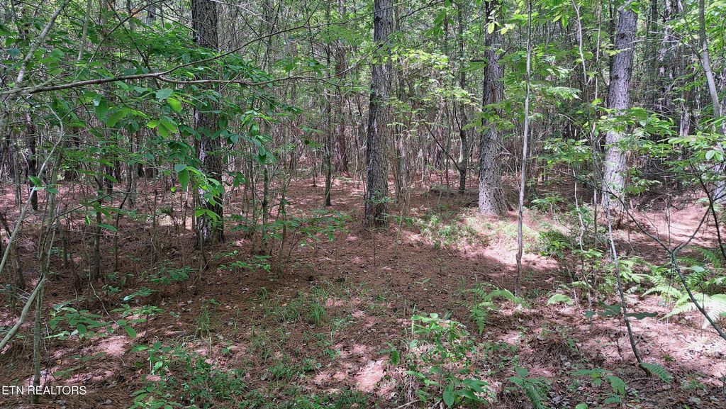 Photo of 21 Airport Rd (PCA), Rockwood, TN 37854 (MLS # 1322208)