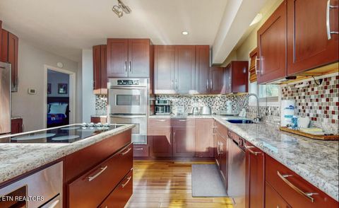 Tiny photo for 2140 White Oak Tr, Dandridge, TN 37725 (MLS # 1337649)