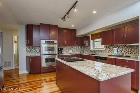 Tiny photo for 2140 White Oak Tr, Dandridge, TN 37725 (MLS # 1337649)