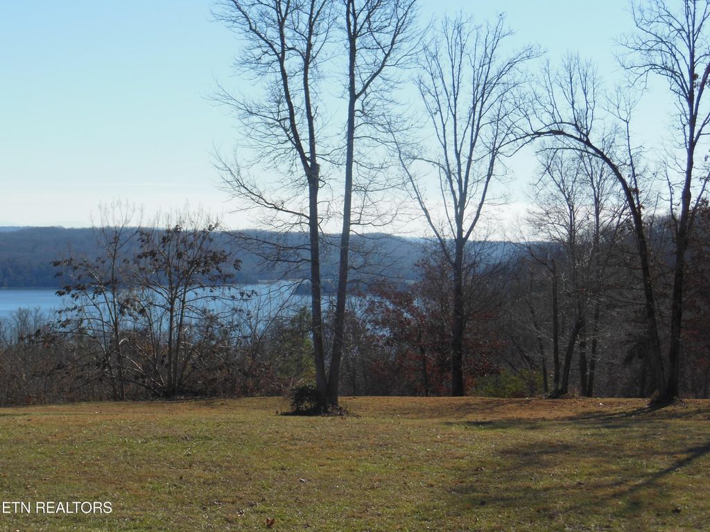 Photo of 140 Quail Hollow Cove, Spring City, TN 37381 (MLS # 1248269)
