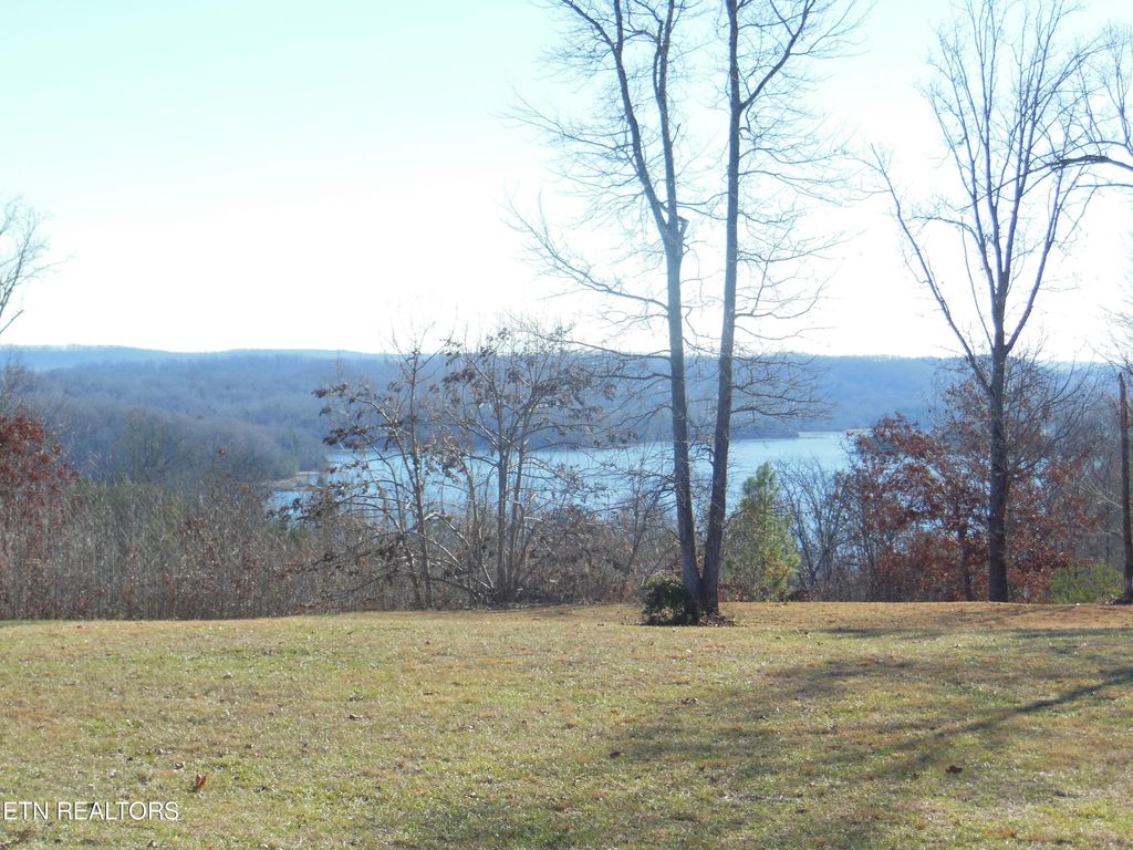 Photo of 140 Quail Hollow Cove, Spring City, TN 37381 (MLS # 1248269)