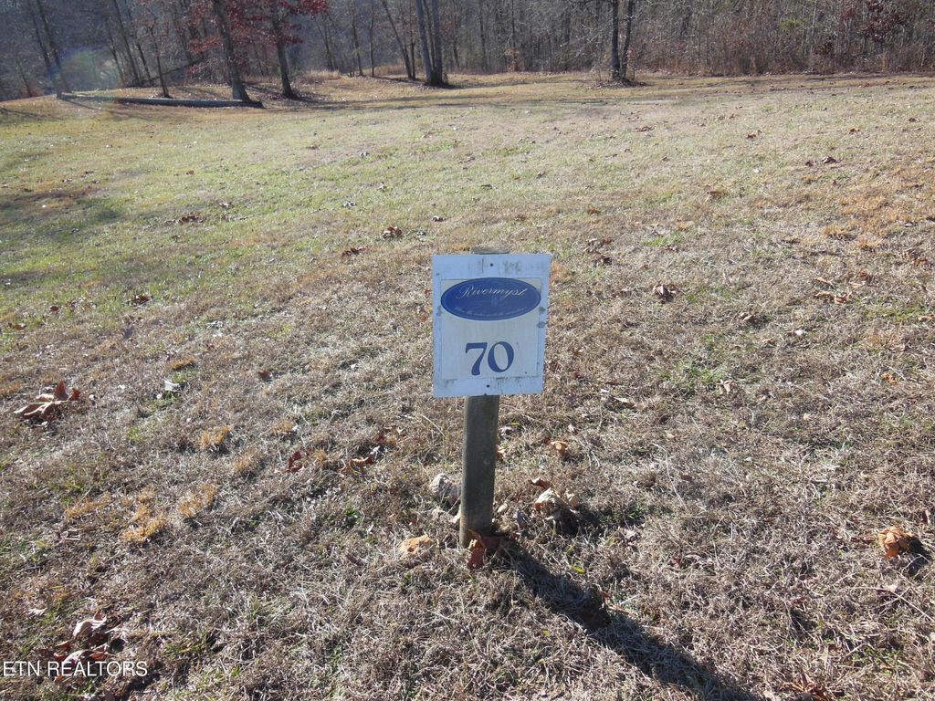 Photo of 140 Quail Hollow Cove, Spring City, TN 37381 (MLS # 1248269)