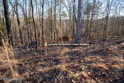 Tiny photo for 108 Nathan Lane, Oak Ridge, TN 37830 (MLS # 1330970)