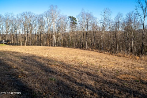 Tiny photo for 108 Nathan Lane, Oak Ridge, TN 37830 (MLS # 1330970)