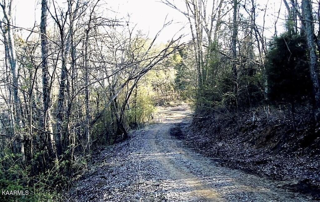 Photo of Corn Hollow Road, Newport, TN 37821 (MLS # 1220202)